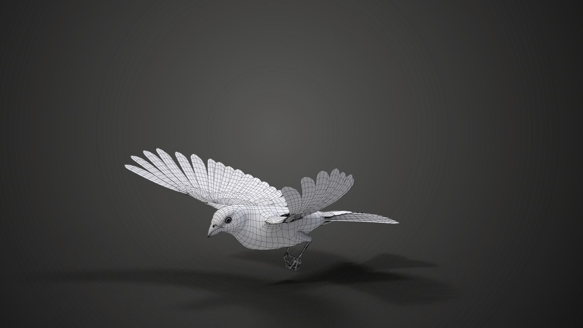 Lazuli Bunting Bird Animated VFX Grace 3D model_18