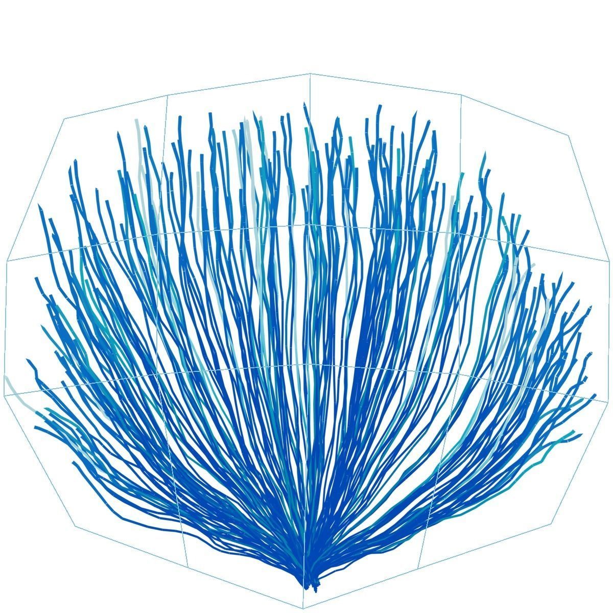 Lazuli Bunting Bird Animated VFX Grace 3D model_26