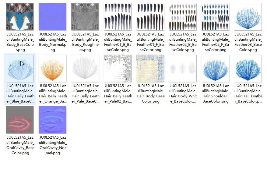 Lazuli Bunting Bird Animated VFX Grace 3D model_32