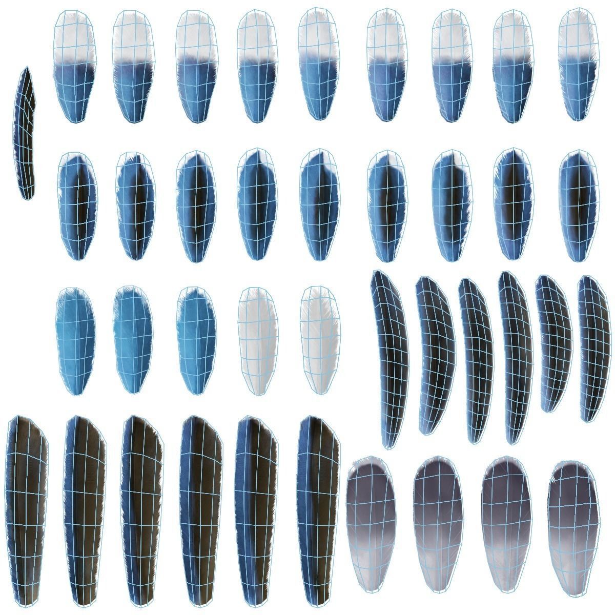 Lazuli Bunting Bird Animated VFX Grace 3D model_23