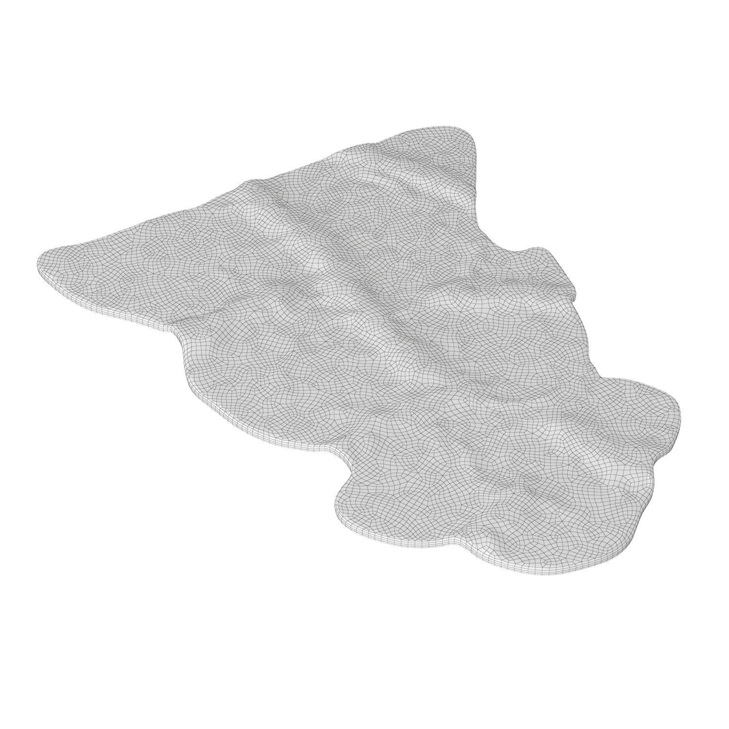 Sheepskin New Zealand 3D model_6