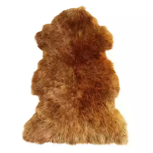 Sheepskin New Zealand 3D model