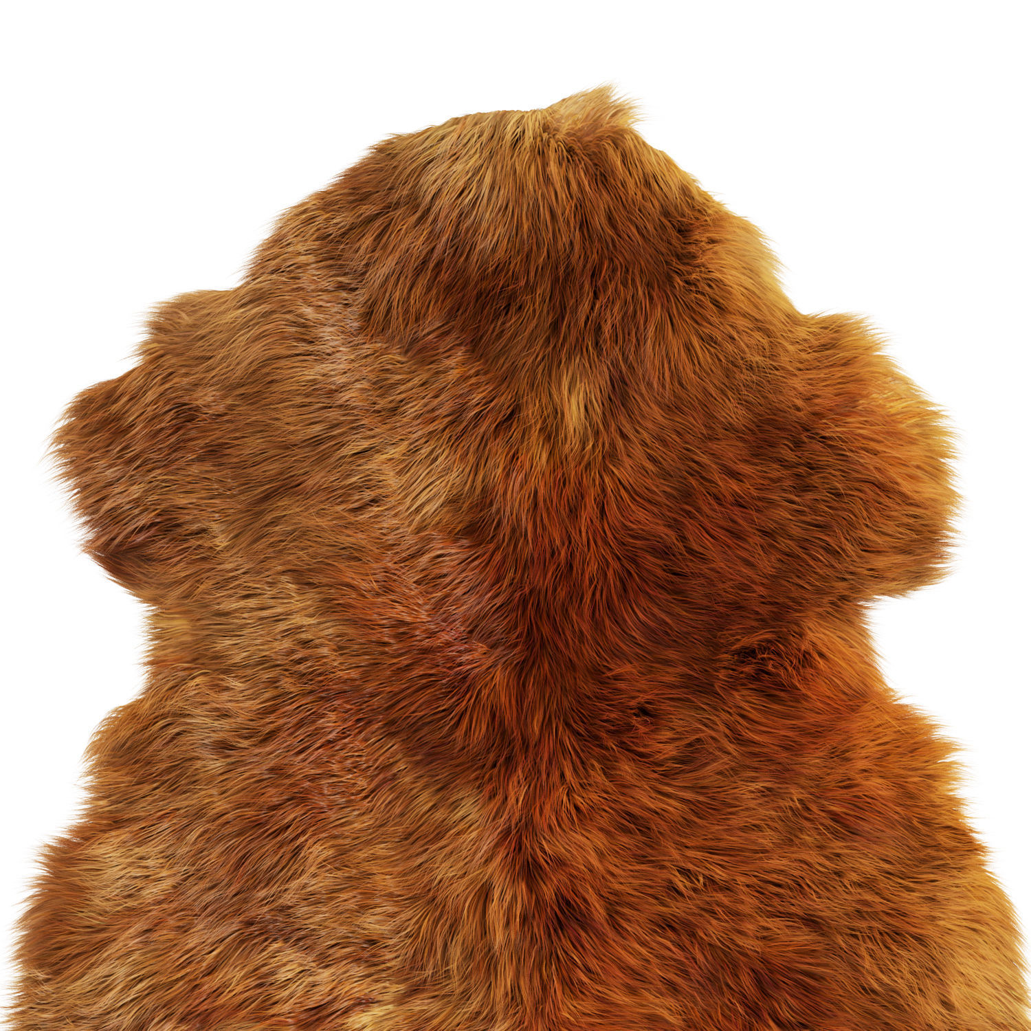 Sheepskin New Zealand 3D model_4
