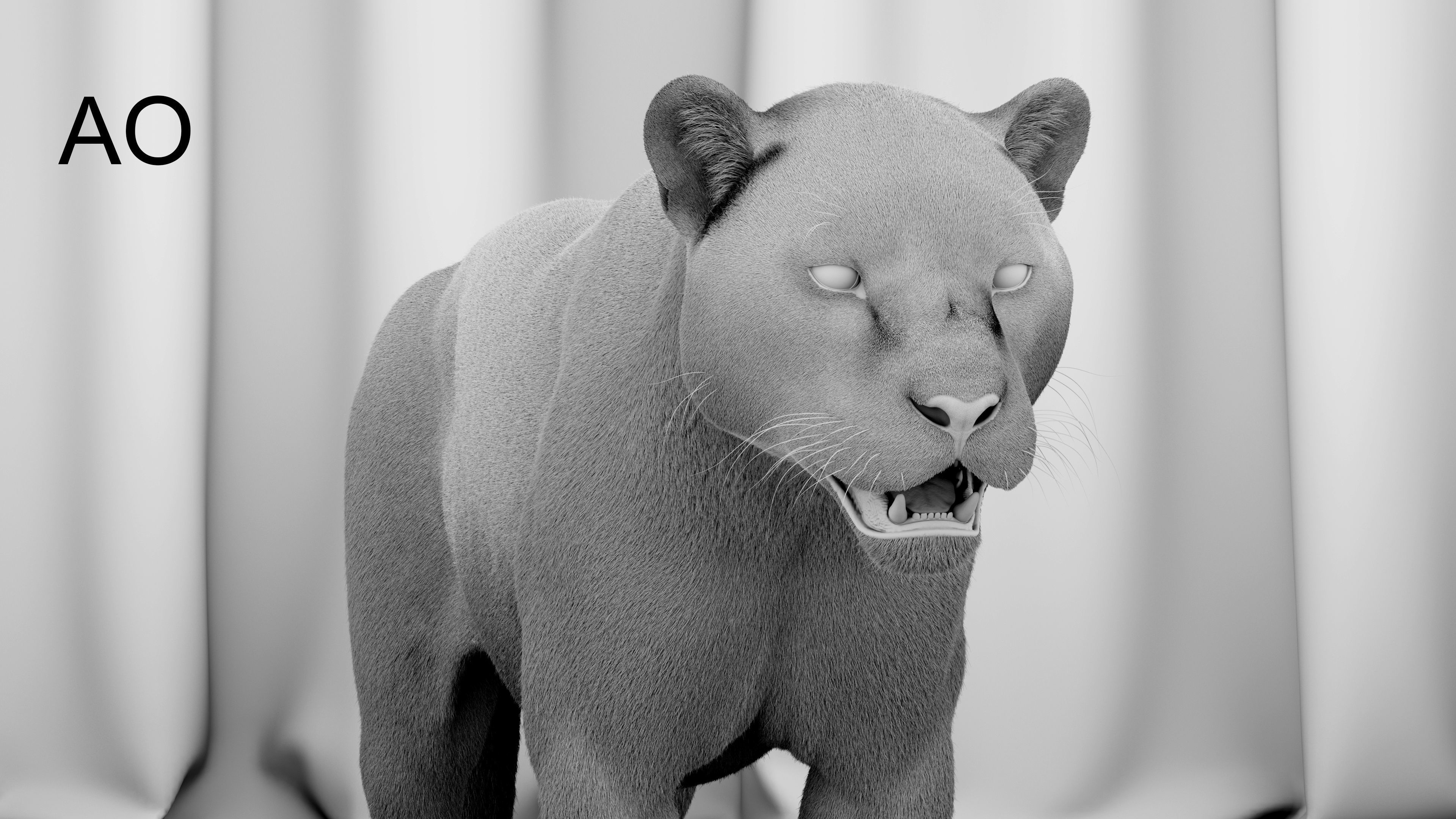 Jaguar For Production 3D model_42