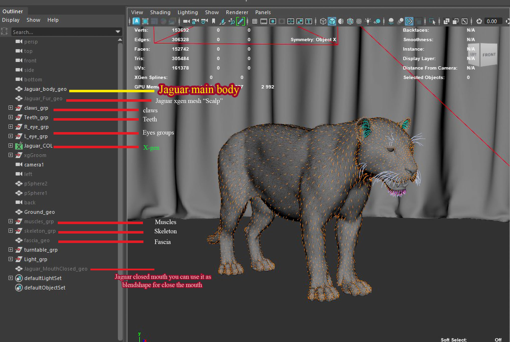 Jaguar For Production 3D model_61
