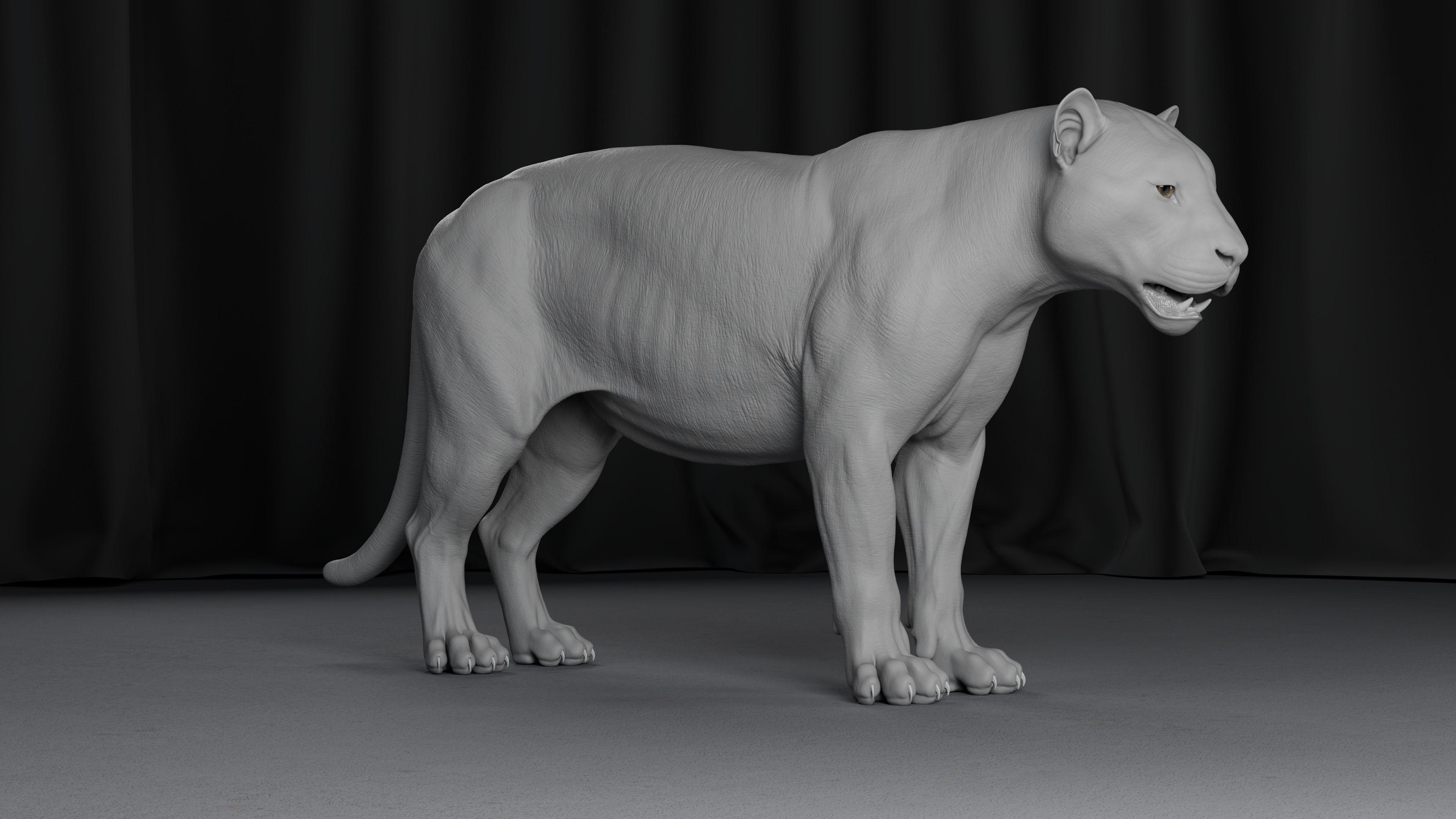 Jaguar For Production 3D model_10