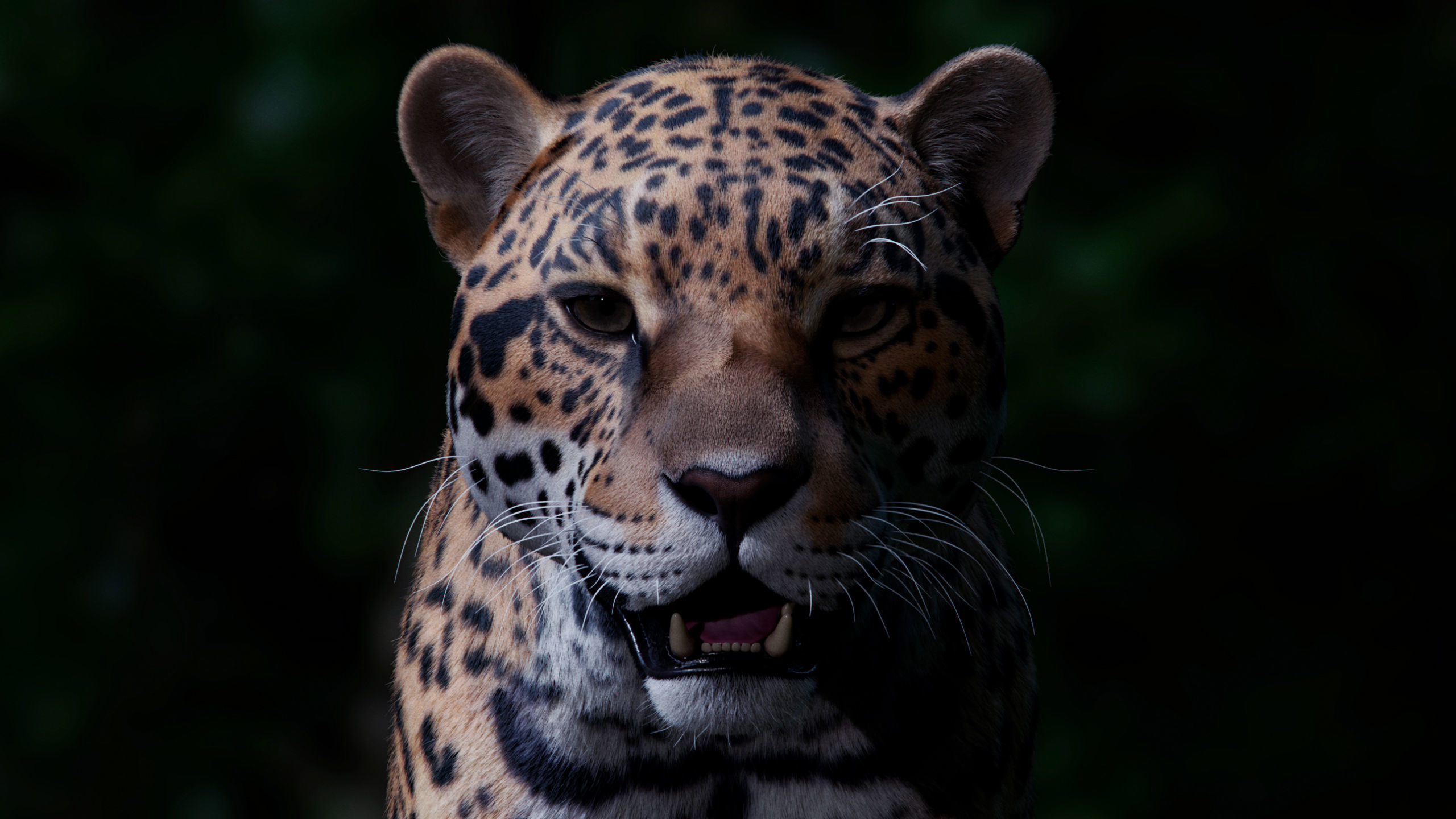 Jaguar For Production 3D model_38