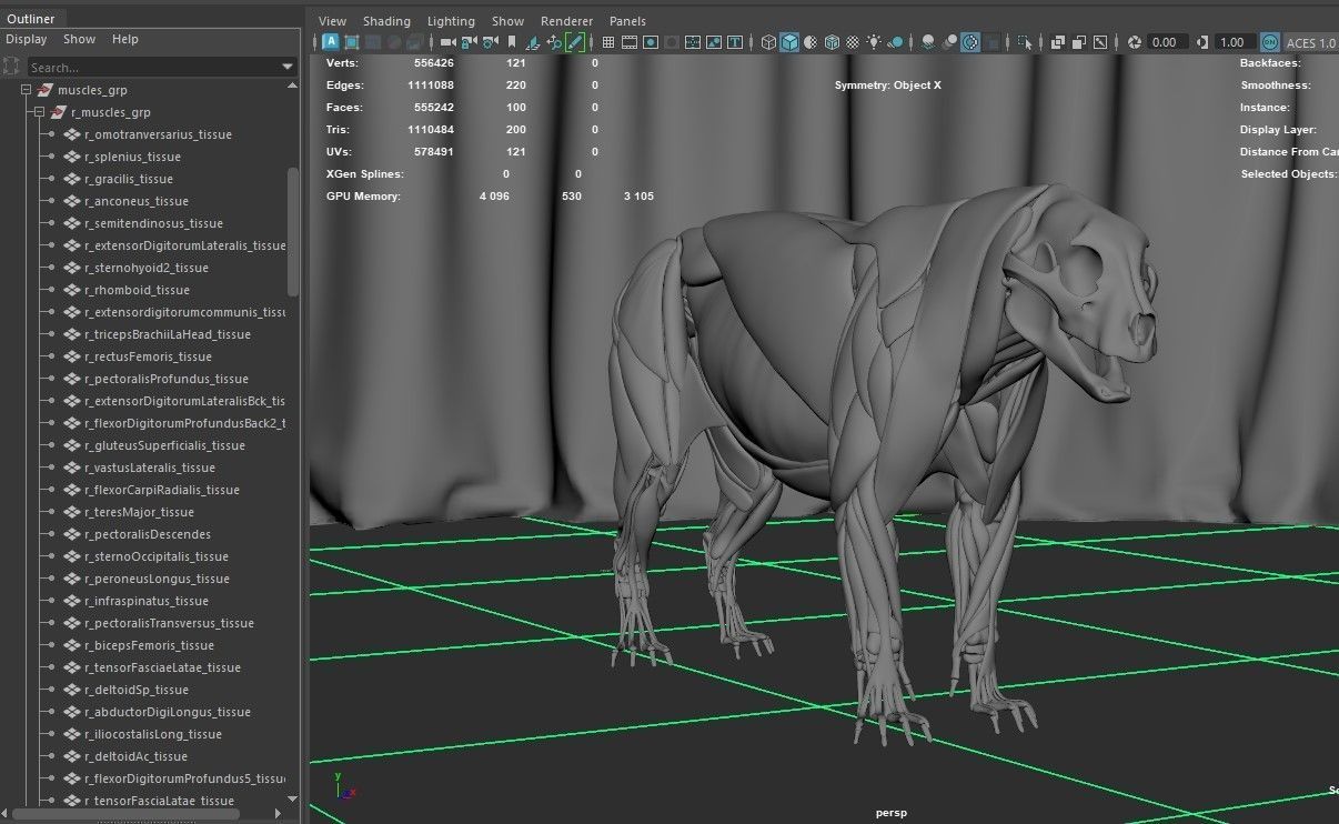 Jaguar For Production 3D model_57