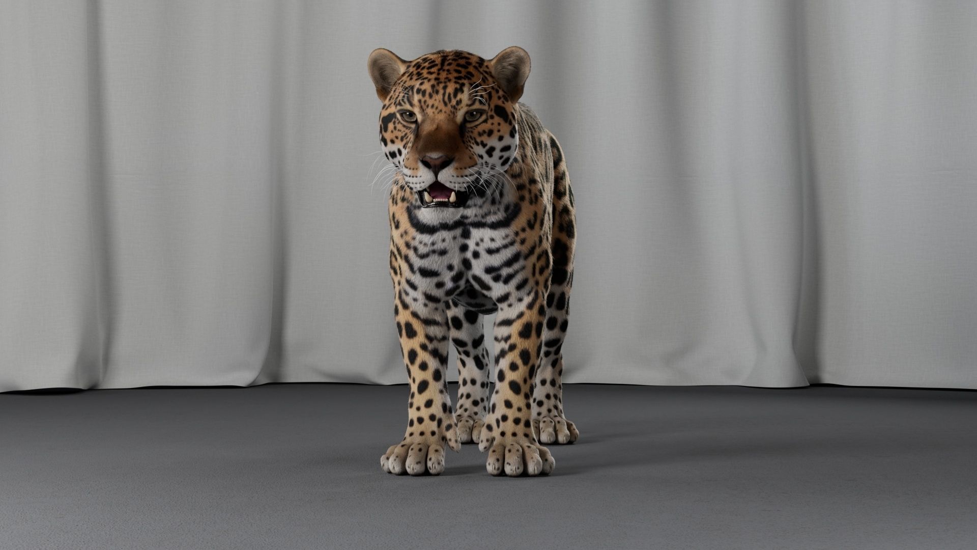 Jaguar For Production 3D model_24