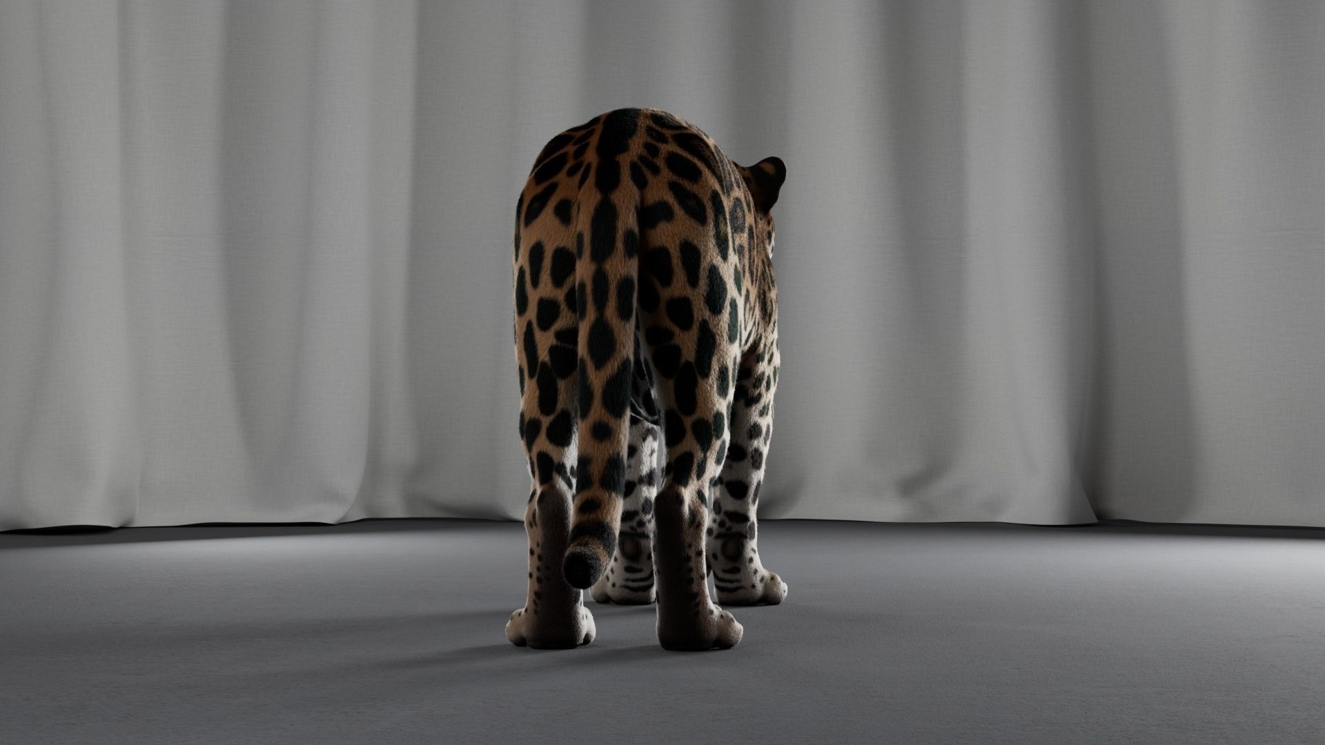 Jaguar For Production 3D model_32