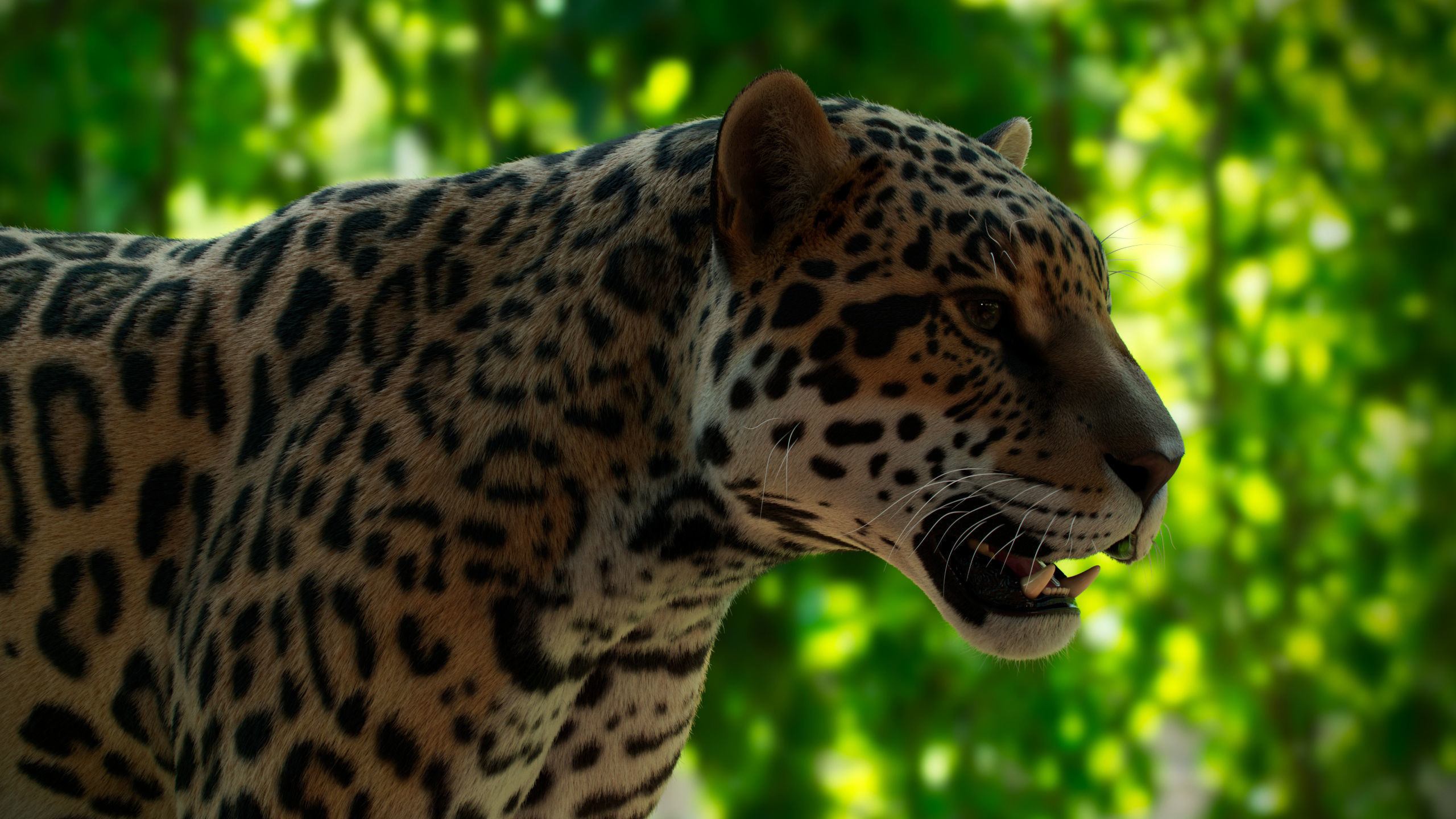 Jaguar For Production 3D model_6