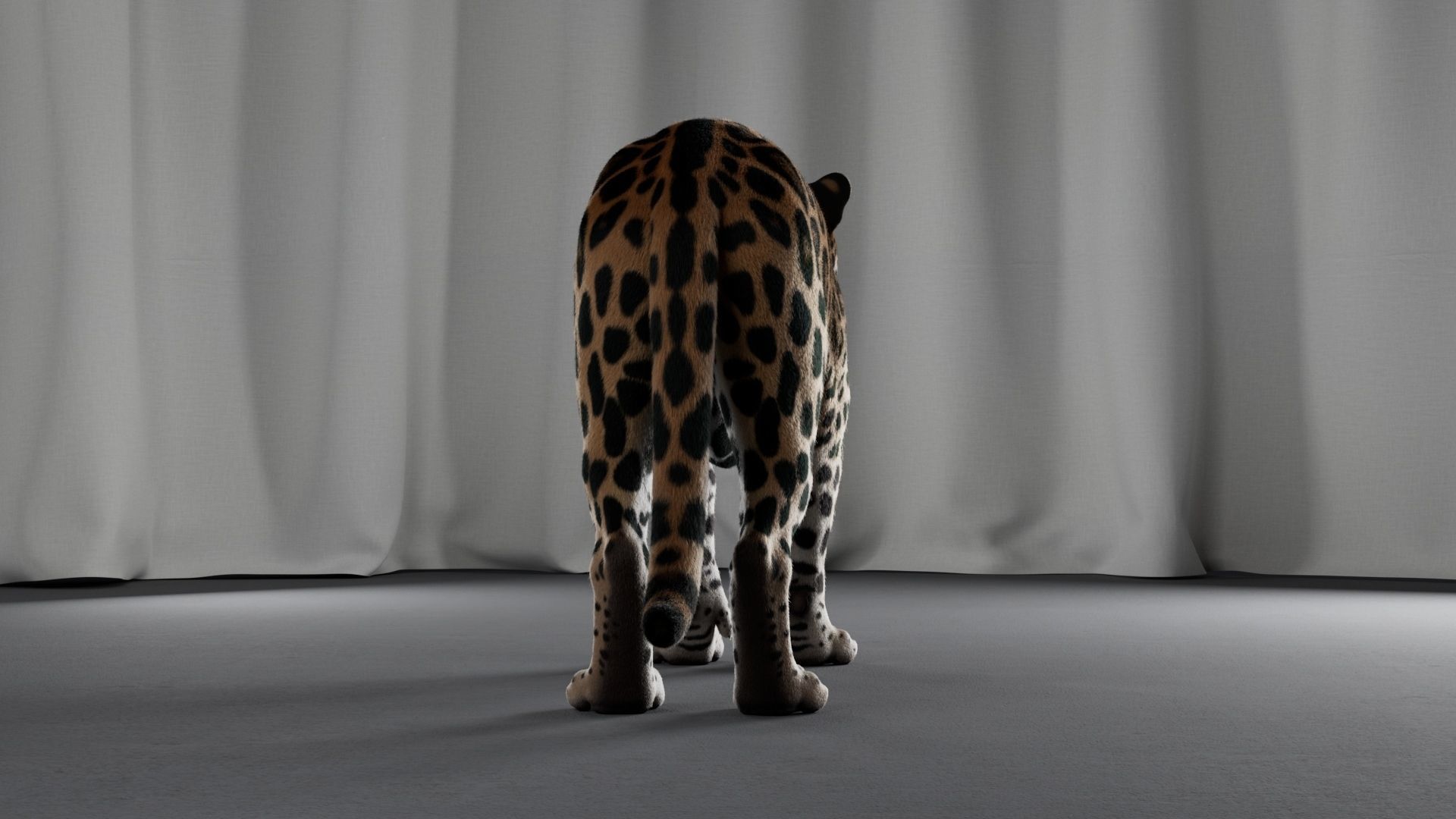 Jaguar For Production 3D model_31