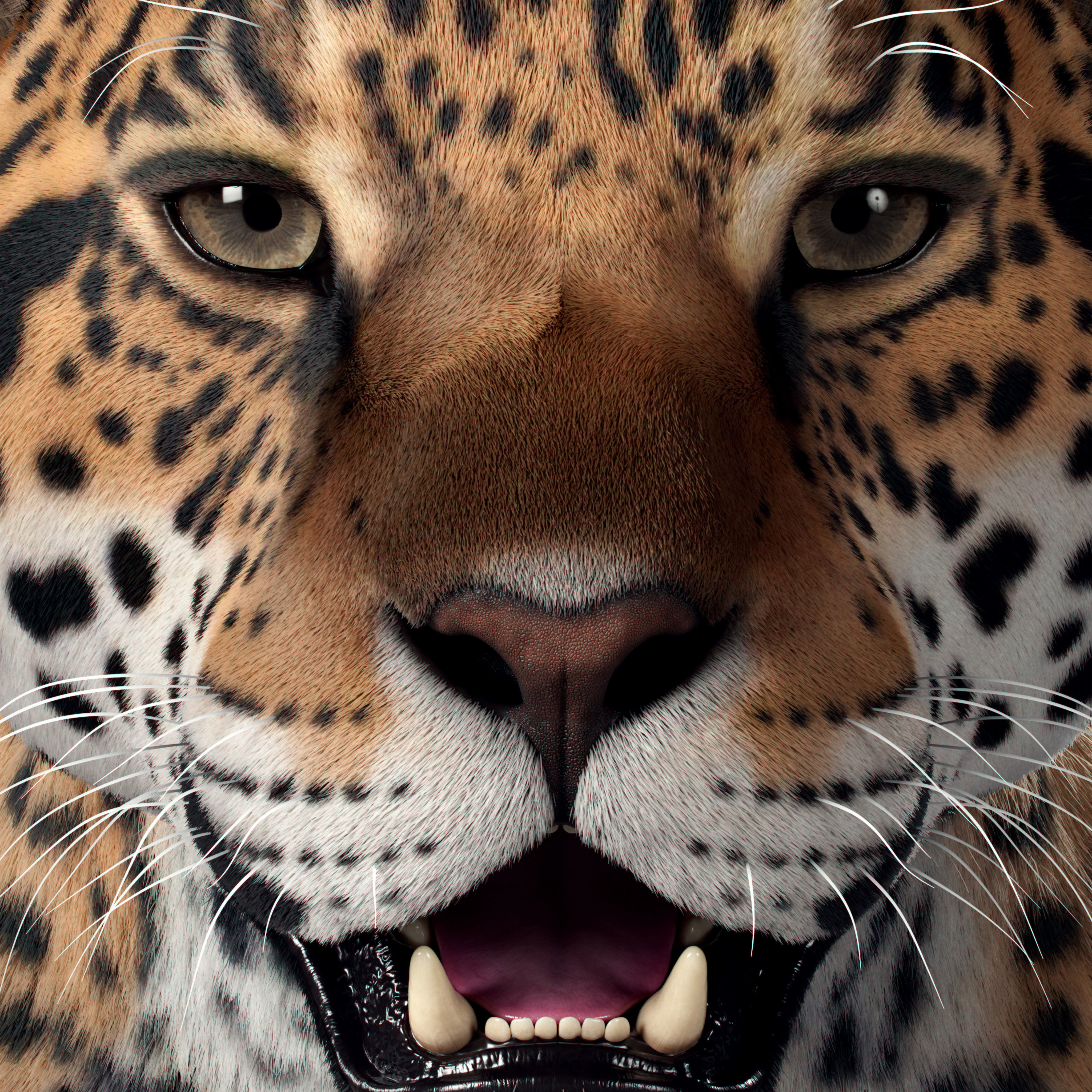 Jaguar For Production 3D model_36