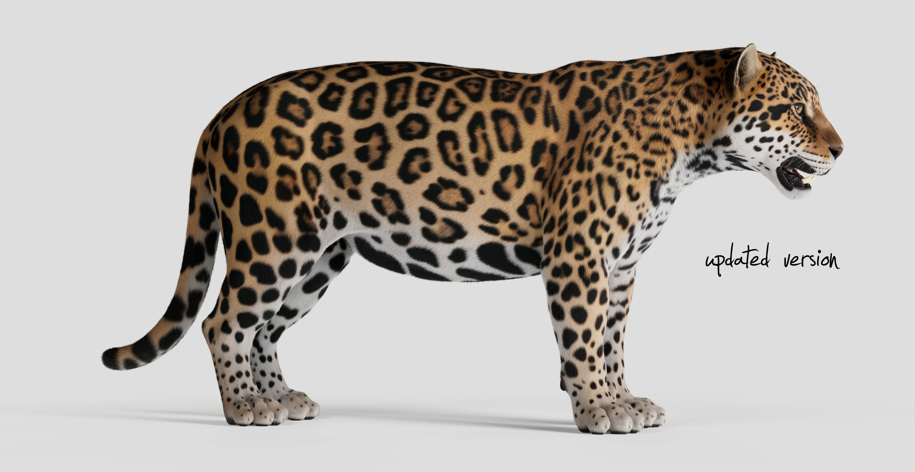Jaguar For Production 3D model_4