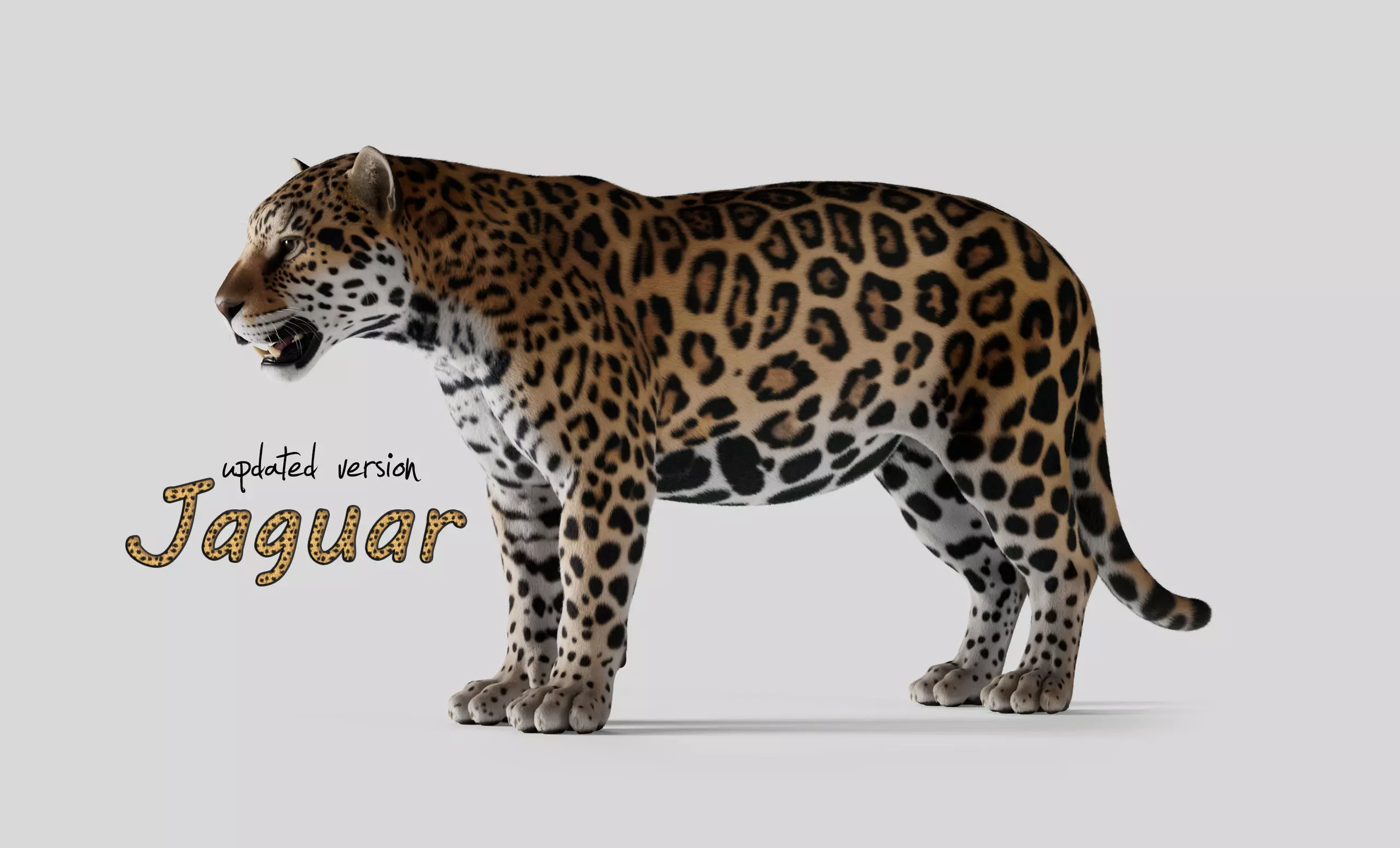Jaguar For Production 3D model_0