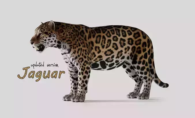 Jaguar For Production 3D model