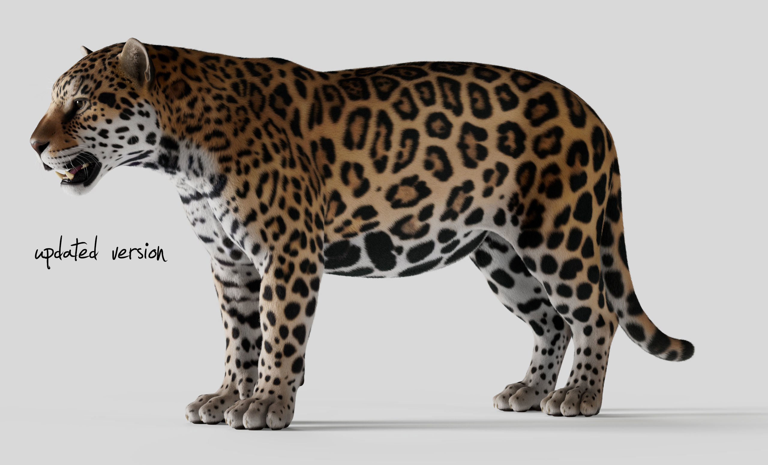 Jaguar For Production 3D model_3