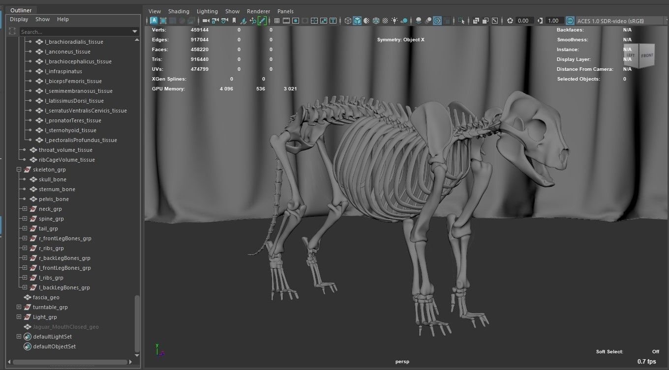 Jaguar For Production 3D model_56