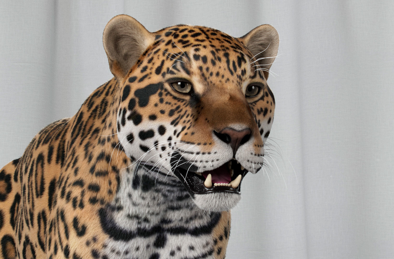 Jaguar For Production 3D model_40