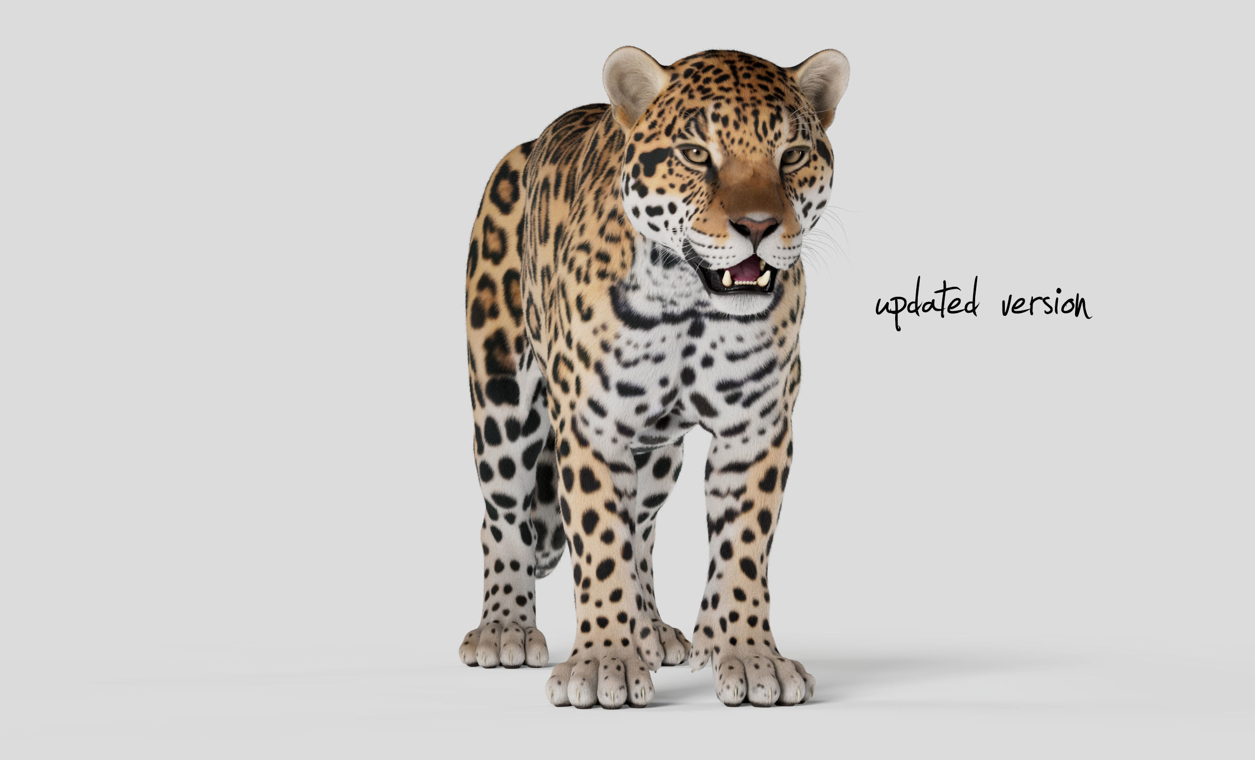 Jaguar For Production 3D model_5