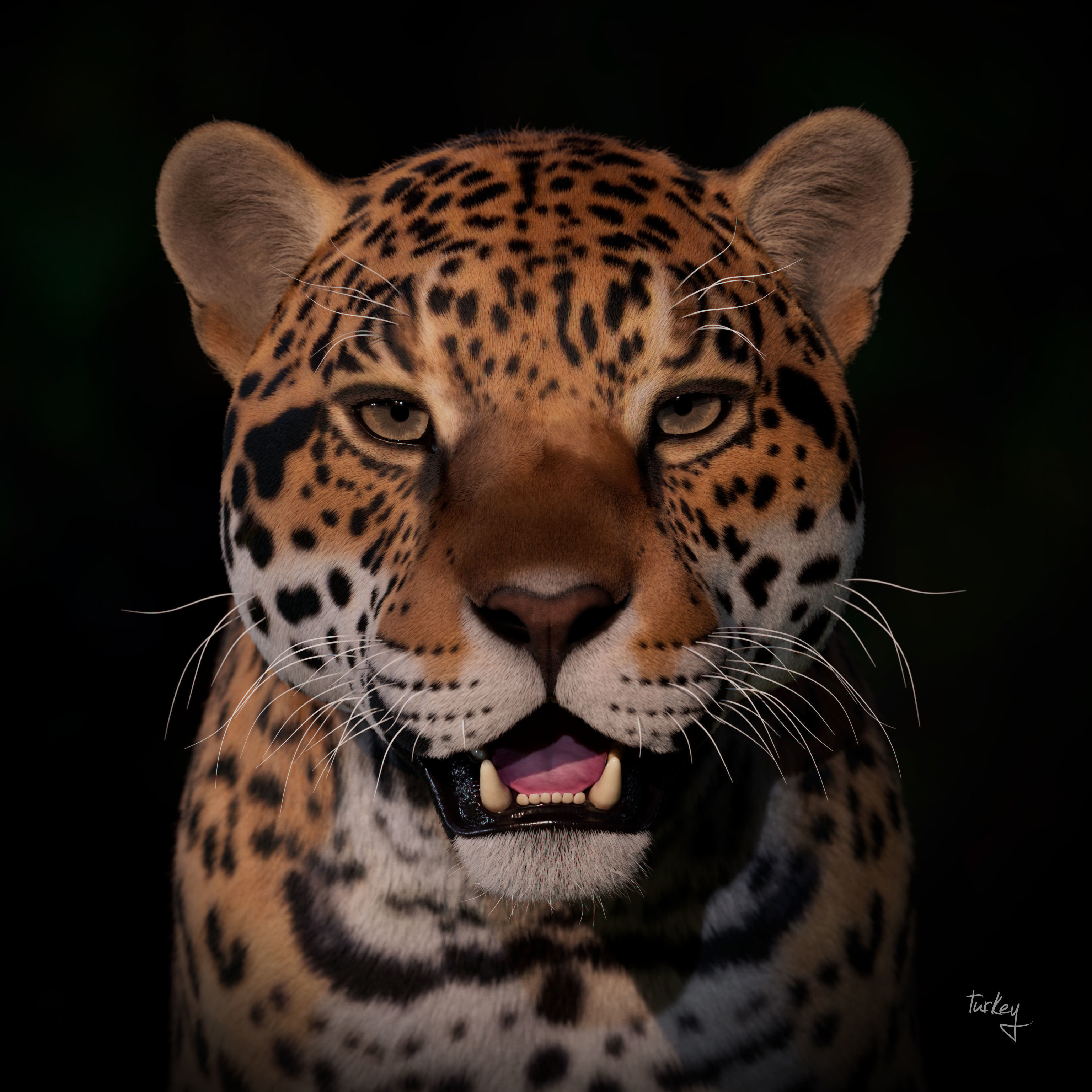 Jaguar For Production 3D model_37