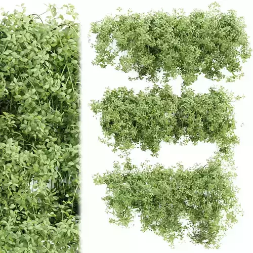 Hanging wall creeper plants collection vol 190 3D model