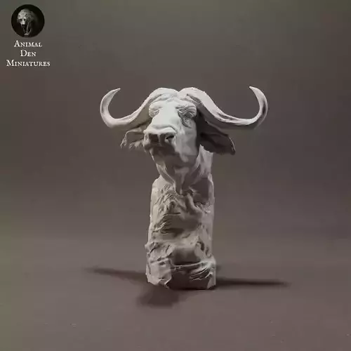 Cape Buffalo Bust