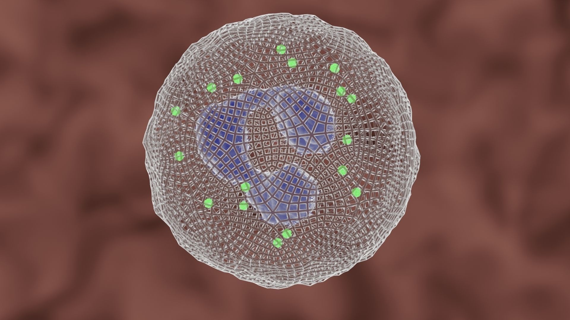 Granulocyte cell 3D model_6