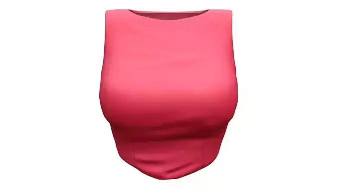 Red Boat Neck Sleeveless Tucked in Top