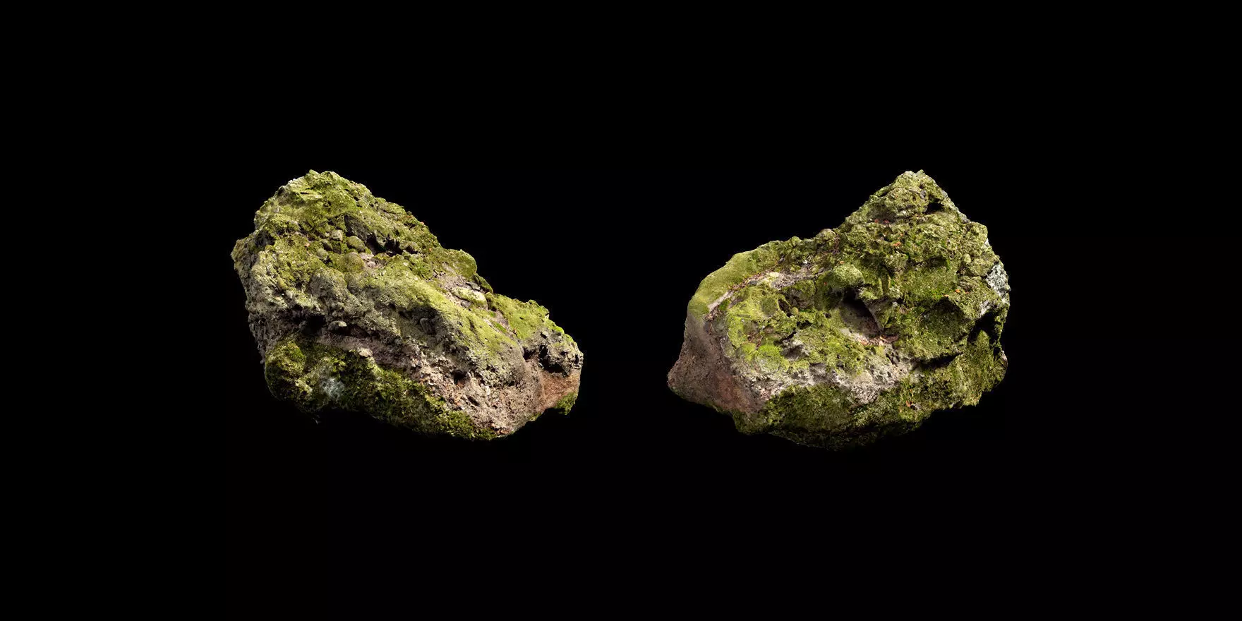Nature Moss Rock 3D model