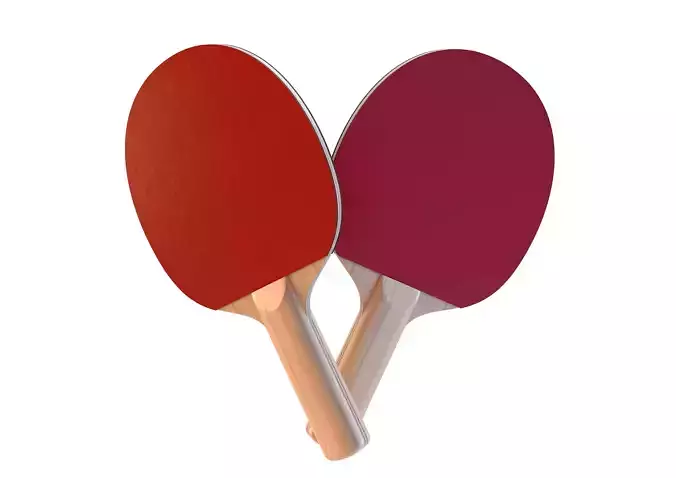 Table Tennis Paddles