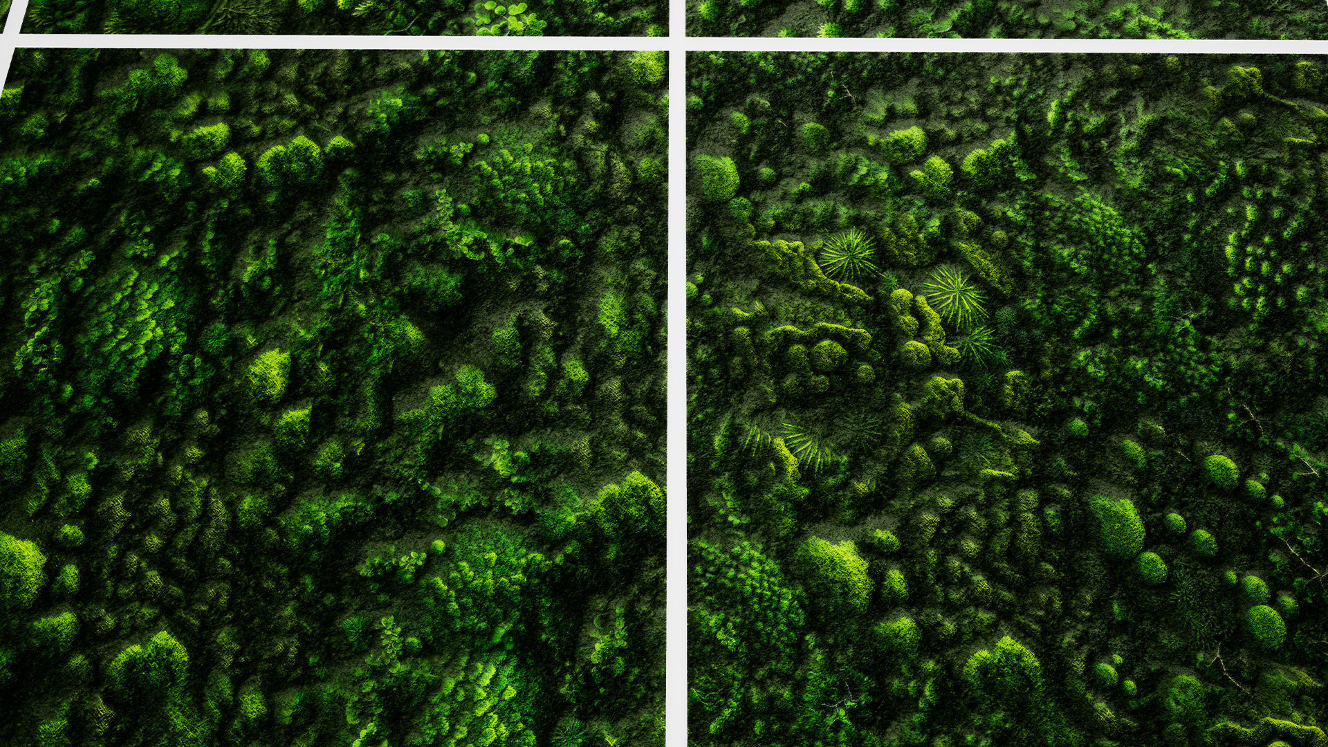 Green Wall Seamless PBR Textures Texture_8