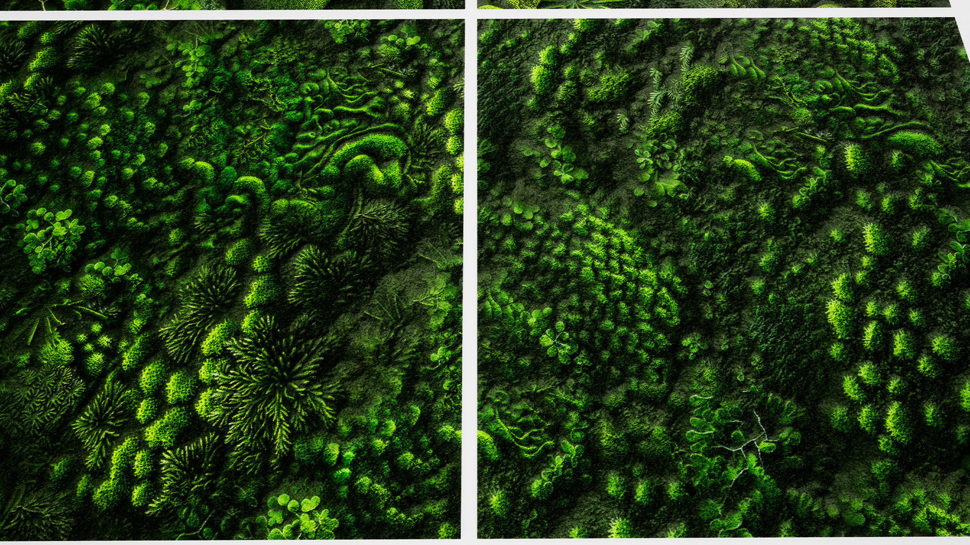 Green Wall Seamless PBR Textures Texture_6