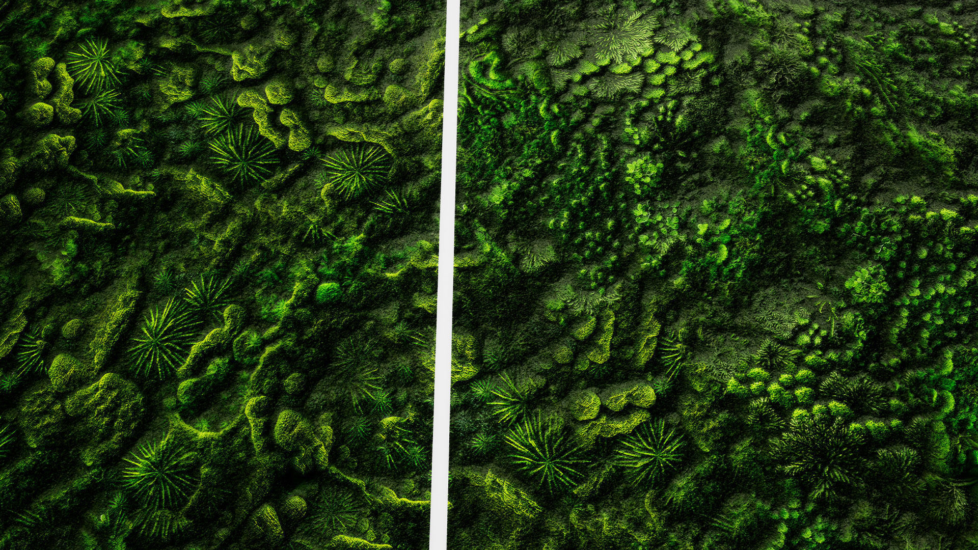 Green Wall Seamless PBR Textures Texture_7