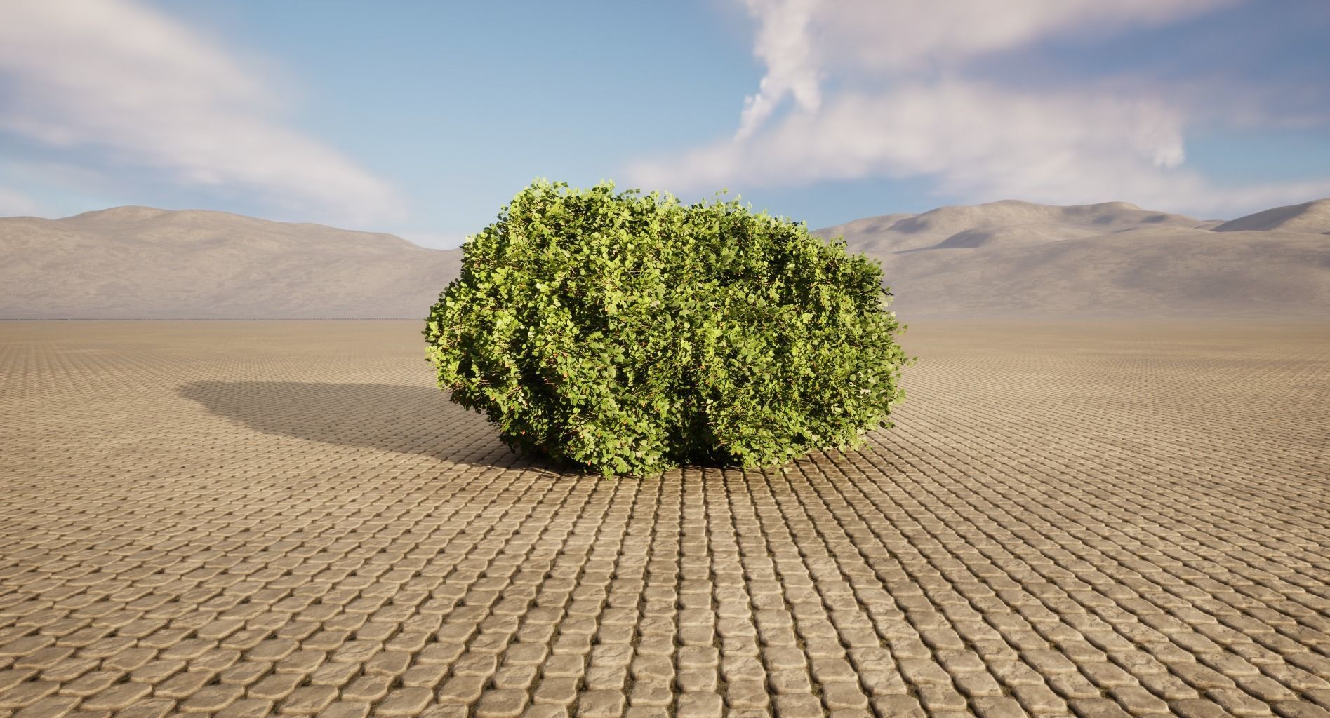 Realistic Bush tree in middle of desert Low-poly 3D model_1
