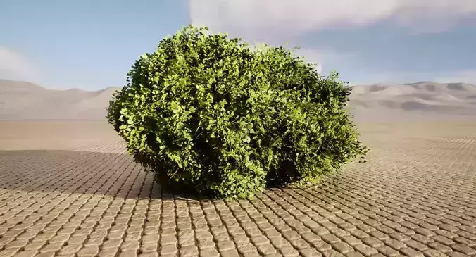Realistic Bush tree in middle of desert