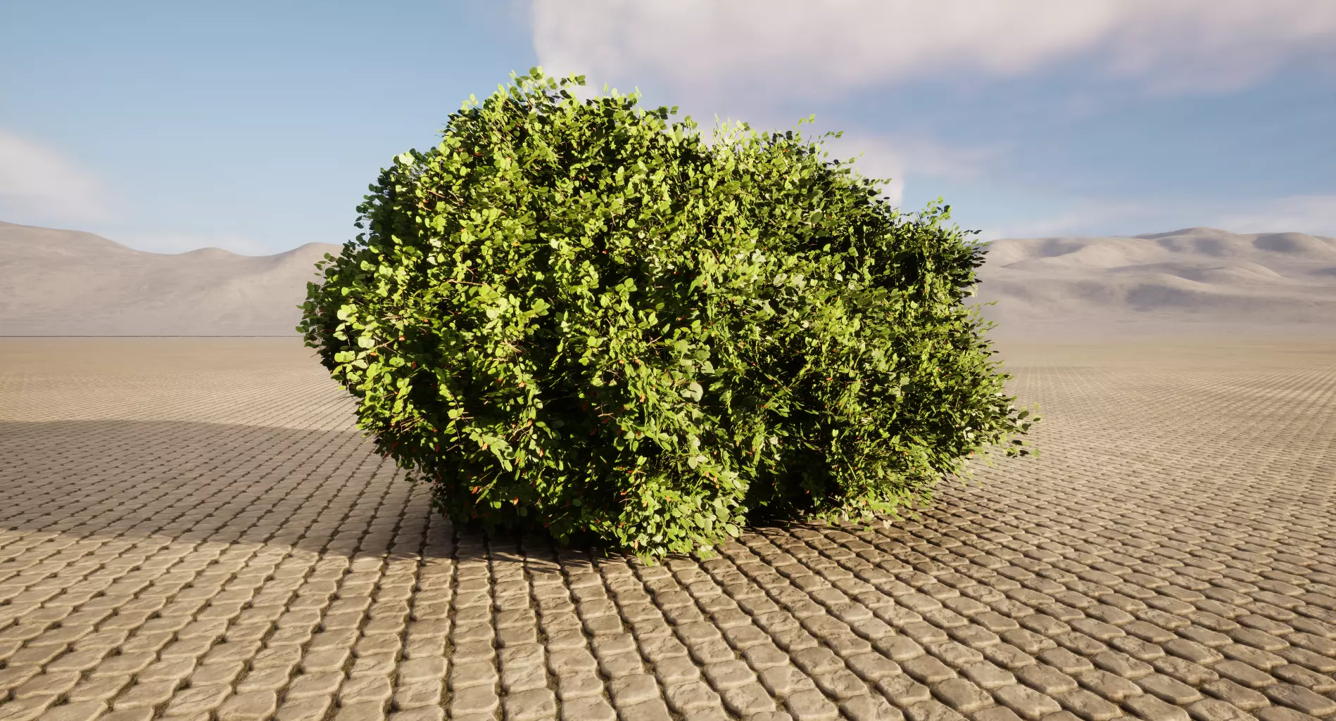 Realistic Bush tree in middle of desert Low-poly 3D model_0