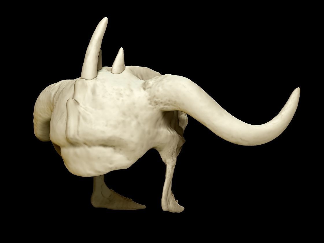 Indiana Jones Mola Ram crown 3d digital download 3D print model_5