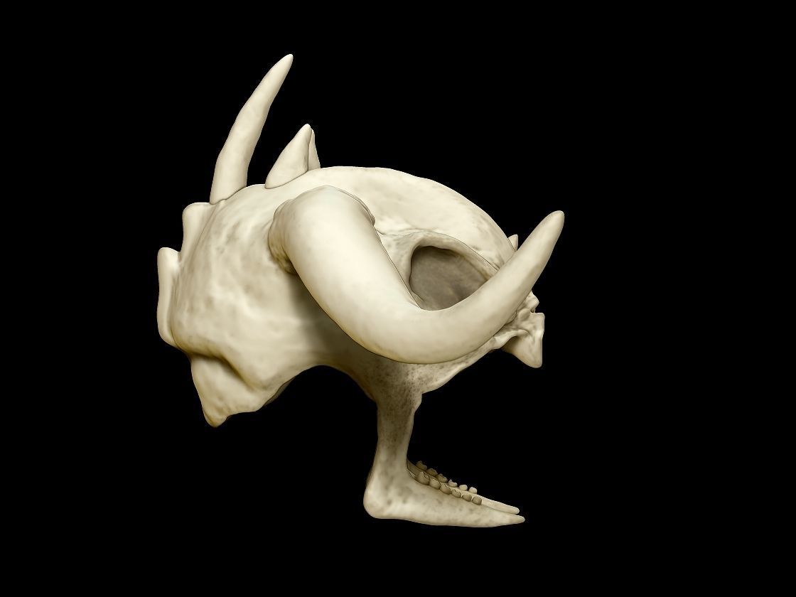 Indiana Jones Mola Ram crown 3d digital download 3D print model_4