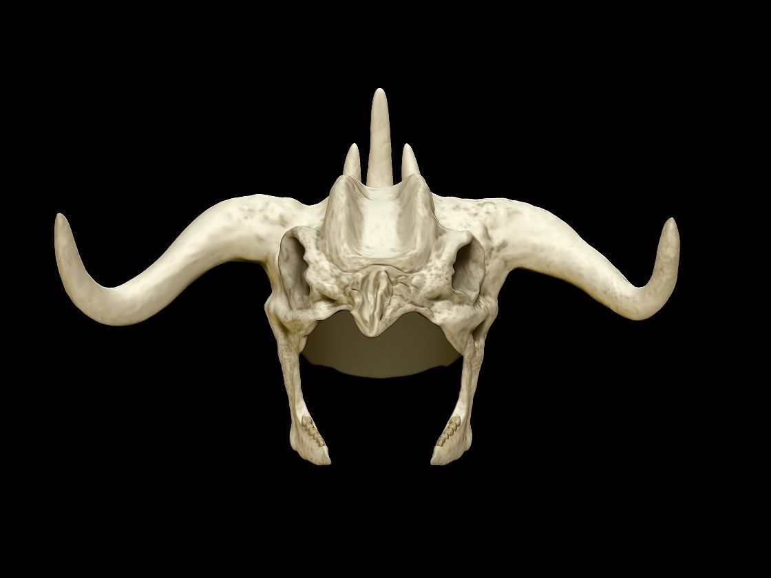 Indiana Jones Mola Ram crown 3d digital download 3D print model_3