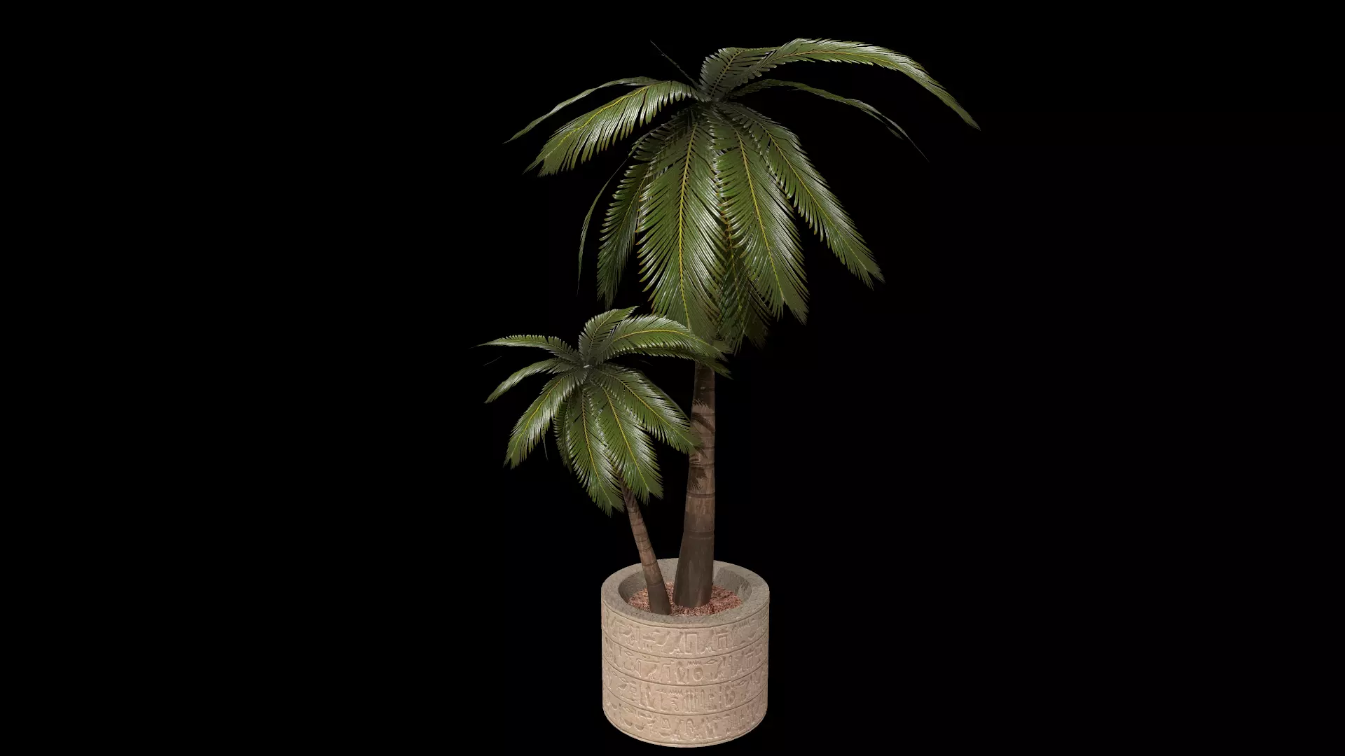 Coconut Tree in a pot Low-poly 3D model