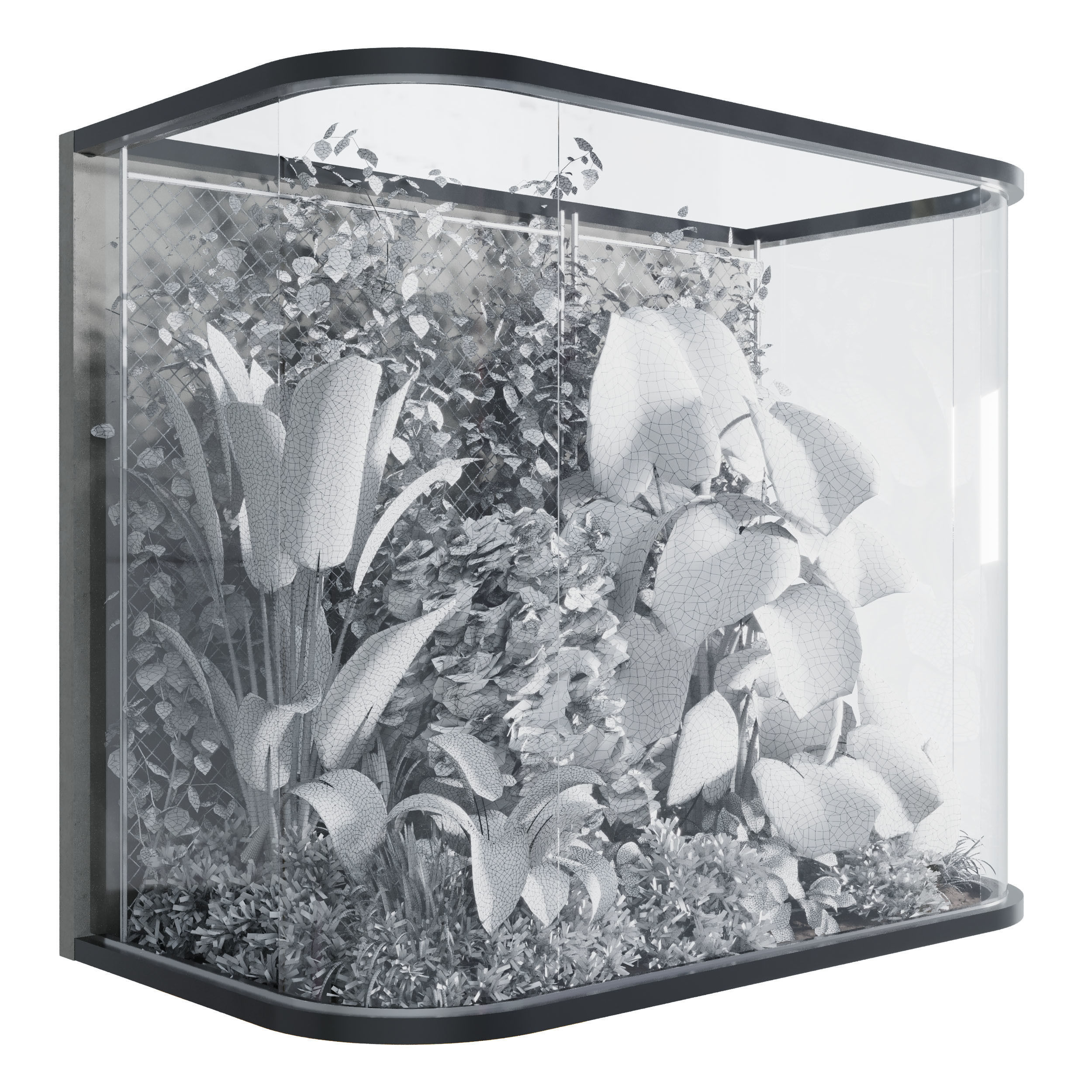 Plants Behind Galss 03 indoor garden Low-poly 3D model_3