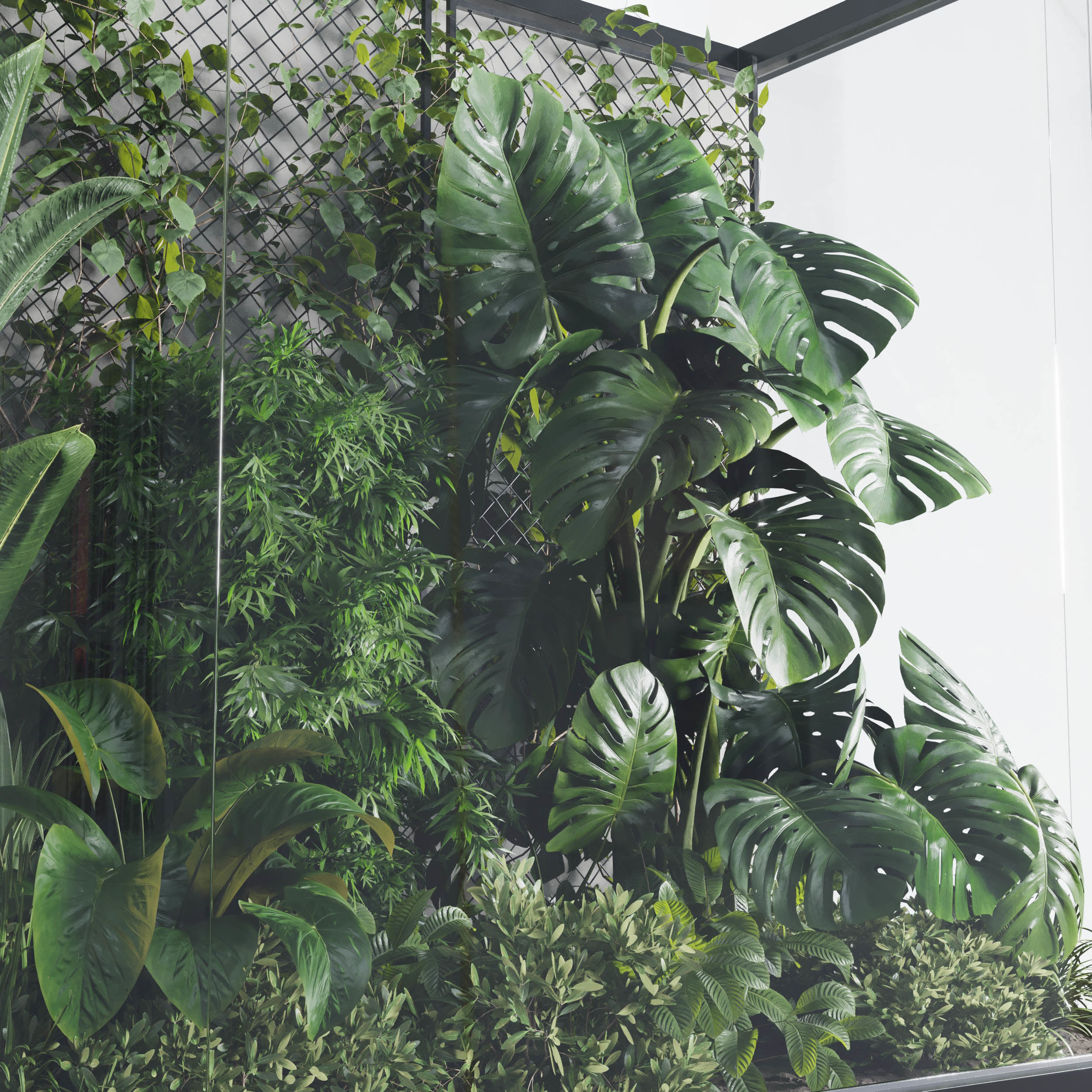 Plants Behind Galss 03 indoor garden Low-poly 3D model_2