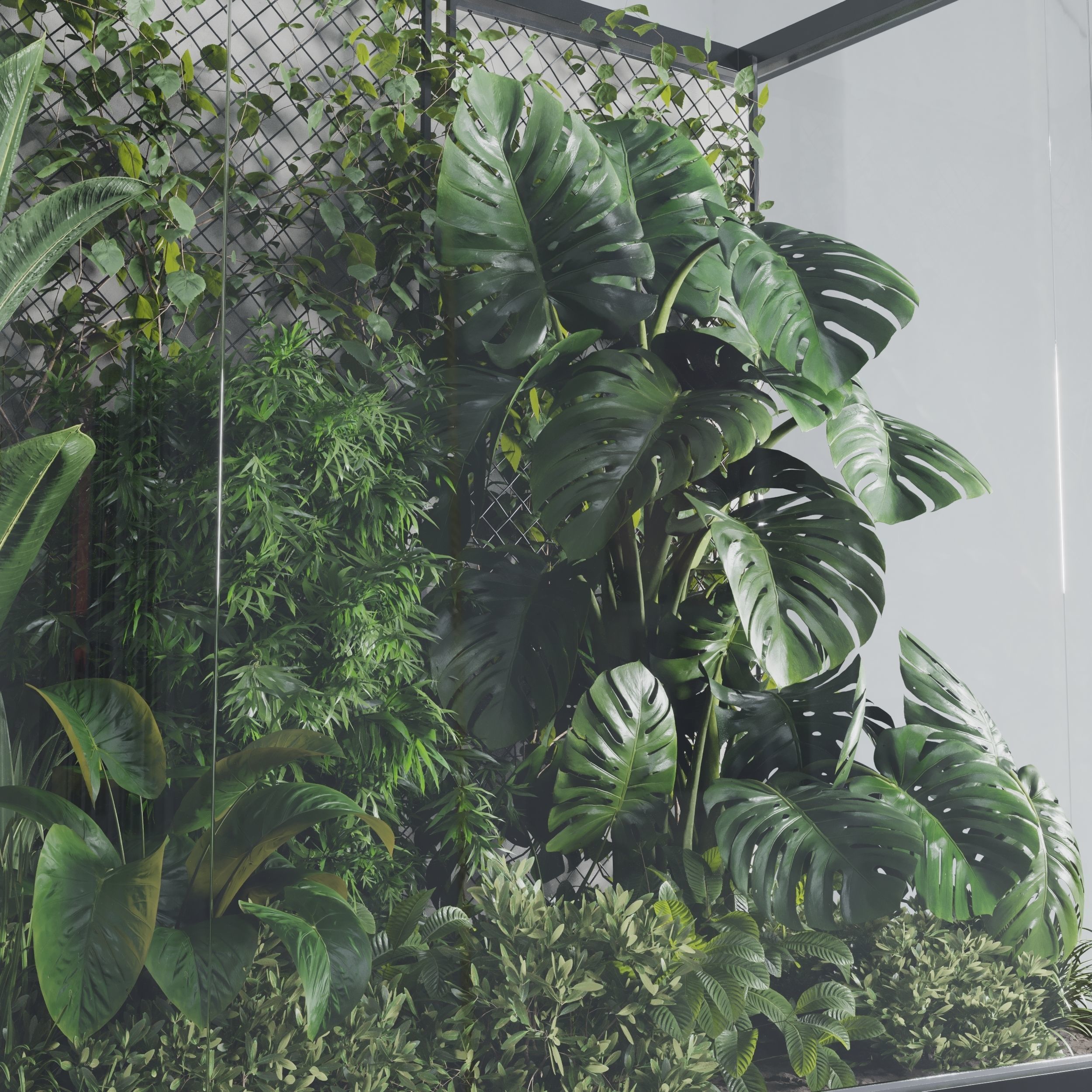 Plants Behind Galss 03 indoor garden Low-poly 3D model_4