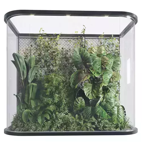 Plants Behind Galss 03 indoor garden Low-poly 3D model Plants Behind Galss 03 indoor garden Low-poly 3D model