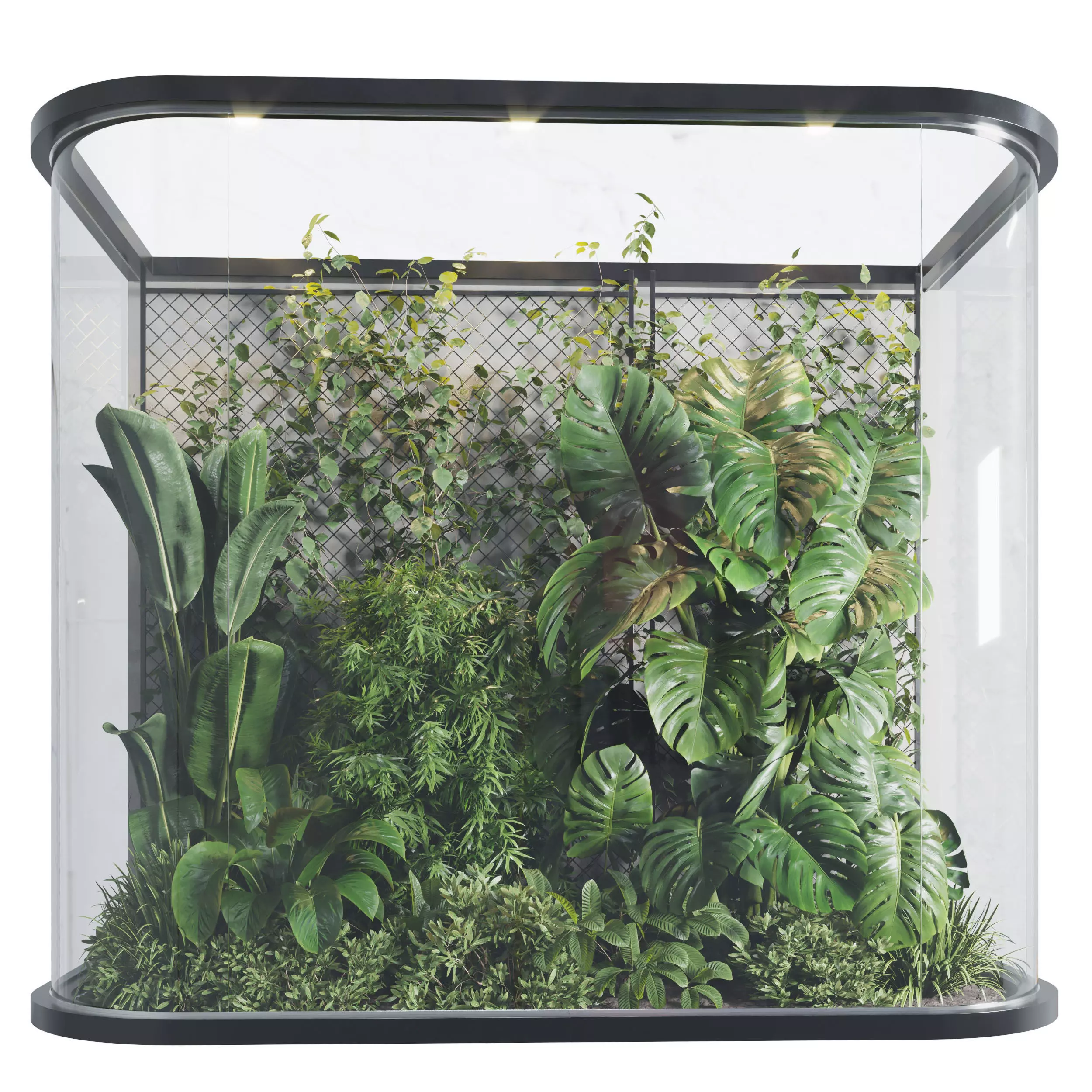 Plants Behind Galss 03 indoor garden Low-poly 3D model_0