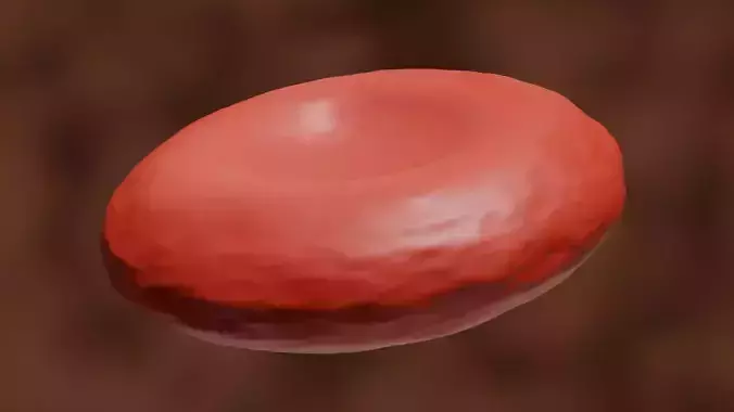 RBC or Red Blood Cell 3D model