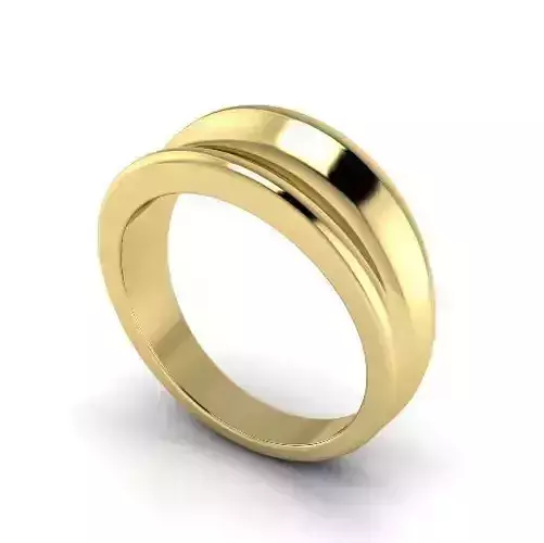 Ring Model 3077