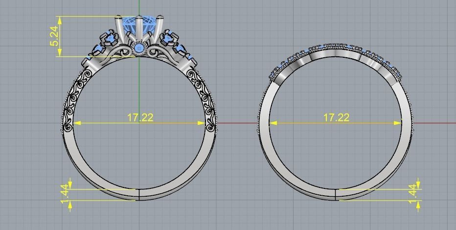 Double ring Model 3055 3D print model_7