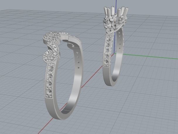 Double ring Model 3055 3D print model_4